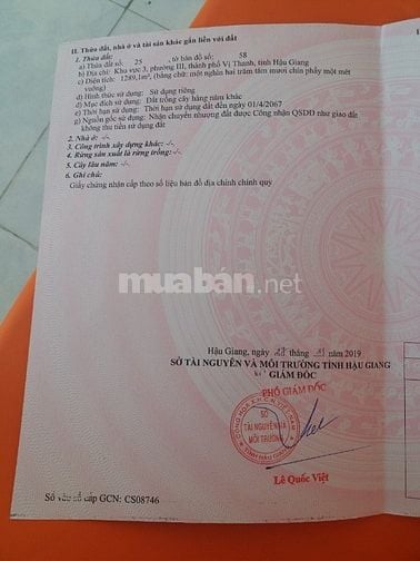 Đất thổ vườn Phường 3 TP Vị Thanh