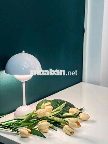 CHO THUÊ PHÒNG CÓ GÁC GẦN NGÃ TƯ BẢY HIỀN - FULL NỘI THẤT - QUẬN 10