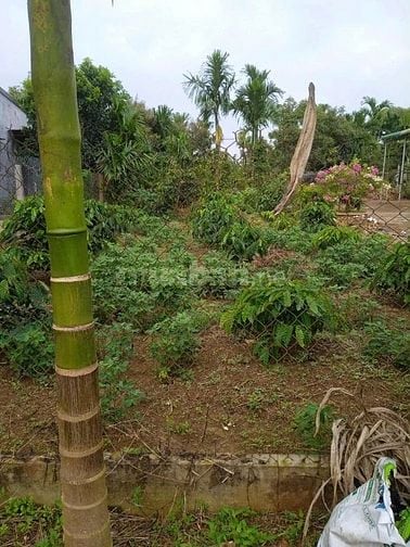 bán đất 2 mặt tiền truóc sau -hem xe hoi -400m2