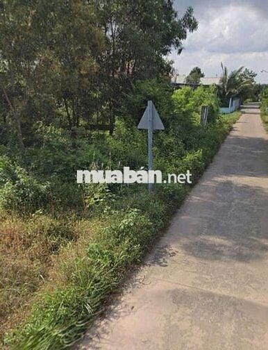 4 LÔ ĐẤT LIỀN KỀ 2000m2 Long Thành, Đồng Nai