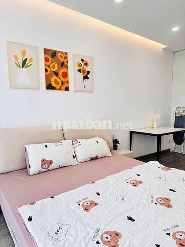 Chuyên cho thuê căn hộ 2,3,4 Phòng ngủ Diamond Alnata Plus