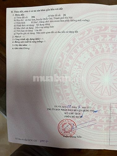 Bán Liền kề đường đôi Khánh Tân Sài Sơn, Quốc Oai Bán Liền kề đường đôi Khánh Tân Sài Sơn, Quốc Oai