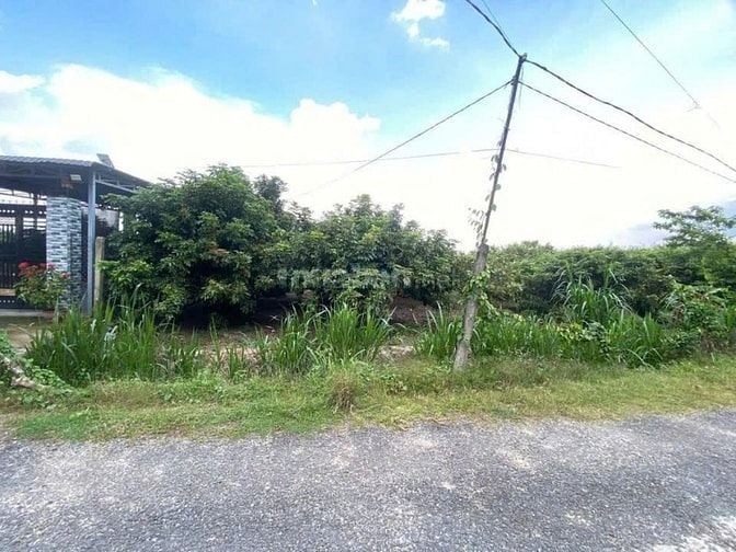 🌸 Em cần bán nhanh 1 lô đất đẹp ở khu Lộc Hưng, Bình Phước