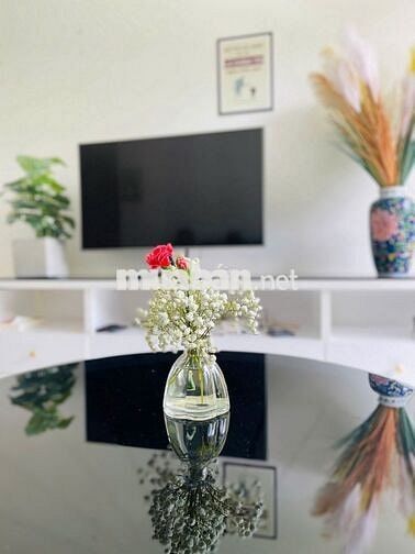 Chuyên cho thuê căn hộ 2,3,4 phòng ngủ Diamond Brilliant