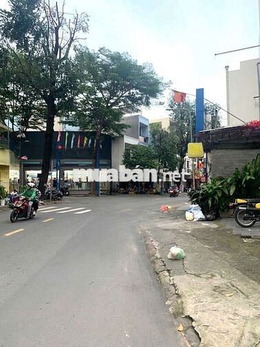 MT /NNC Nguyễn Thái Bình kinh doanh tự do