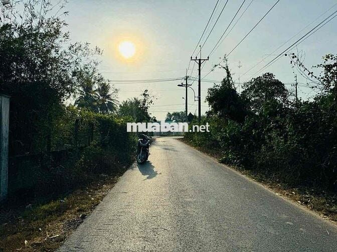 Nhuận Đức Củ Chi  Khu dân cư mặt tiền đường 534  DT 17x26 tổng 489m2 c