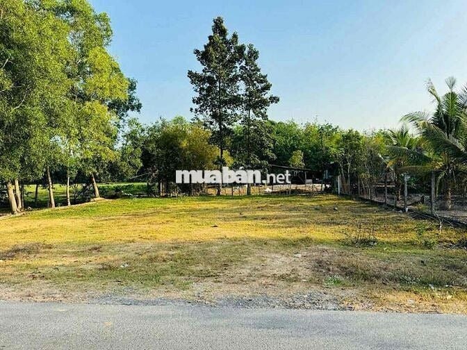 Nhuận Đức Củ Chi  Khu dân cư mặt tiền đường 534  DT 17x26 tổng 489m2 c