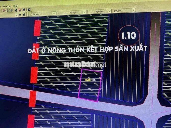 Nhuận Đức Củ Chi  Khu dân cư mặt tiền đường 534  DT 17x26 tổng 489m2 c