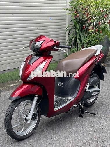 Vision - 2024 - BSTP - 13k km