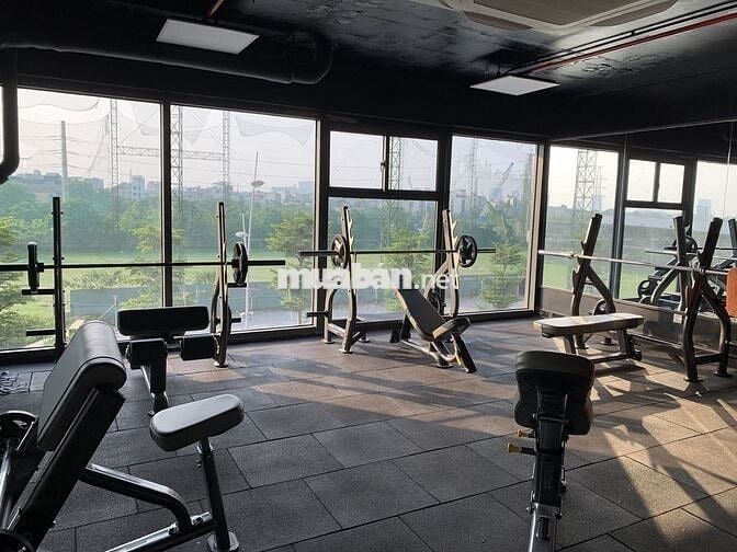 Cho thuê căn hộ Mỹ Đình Pearl, Mễ Trì 80m2 2PN đồ cơ bản giá 14,5tr/th