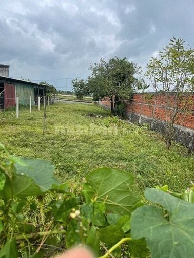 ĐẤT VƯỜN NGHỈ DƯỠNG XÃ XUYÊN MỘC-TP HCM