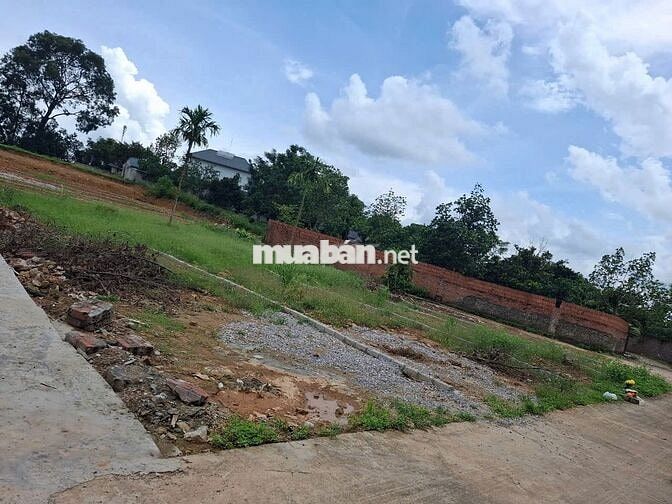 Chính chủ bán đất 194m2 Hiệp Hòa, Bắc Giang