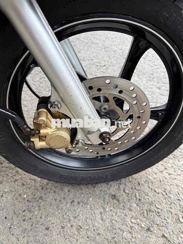 classico nâu socolate