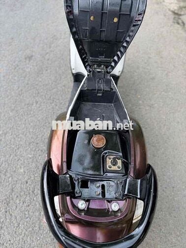 classico nâu socolate