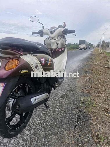 classico nâu socolate