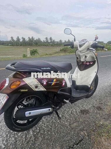 classico nâu socolate