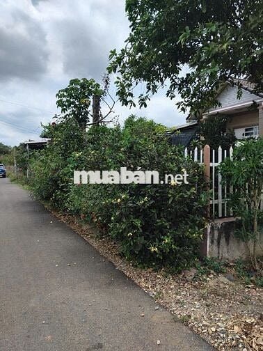 CHÍNH CHỦ BÁN 2 NỀN ĐẤT FULL THỔ CƯ 10X35/NỀN, CÓ SẴN 100 TC/NỀN