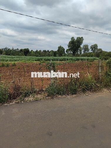 CHÍNH CHỦ BÁN 2 NỀN ĐẤT FULL THỔ CƯ 10X35/NỀN, CÓ SẴN 100 TC/NỀN