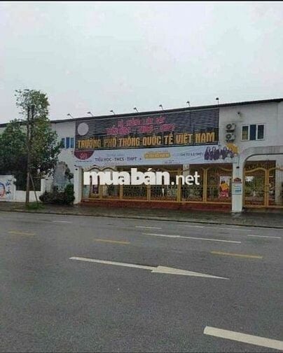 Bán đất dịch vụ lk 16, 17, 18ab Dương Nội Hà Đông chính chủ