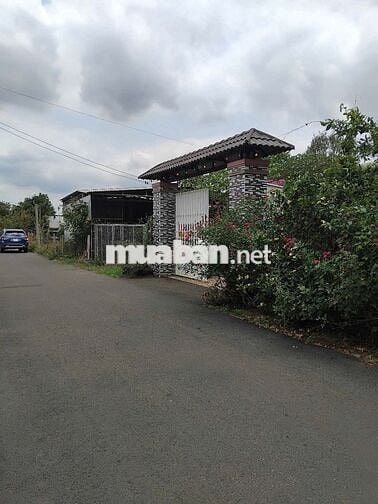 CHÍNH CHỦ BÁN 2 NỀN ĐẤT FULL THỔ CƯ 10X35/NỀN, CÓ SẴN 100 TC/NỀN