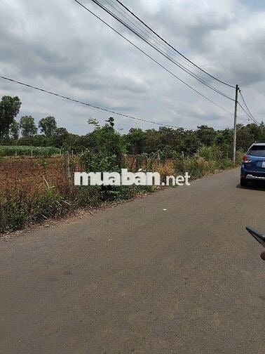 CHÍNH CHỦ BÁN 2 NỀN ĐẤT FULL THỔ CƯ 10X35/NỀN, CÓ SẴN 100 TC/NỀN