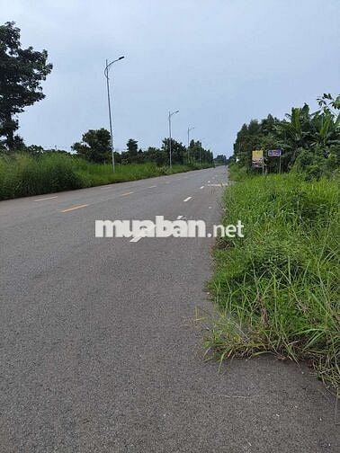 BÁN GẤP LÔ ĐẤT MẶT TIỀN ĐƯỜNG LỚN – ĐÁ BẠC, CHÂU ĐỨC, BR-VT