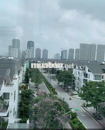 Bán đất dịch vụ lk 16, 17, 18ab Dương Nội Hà Đông chính chủ