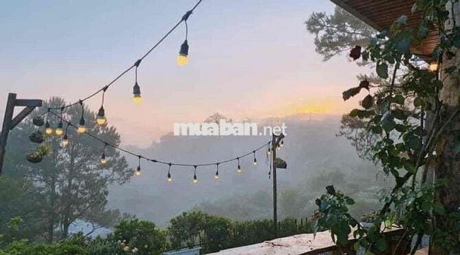 1080m2 750Triệu Đất Vườn View Sân Mây Cần Bán Gấp Tặng Luôn Vườn Hồng