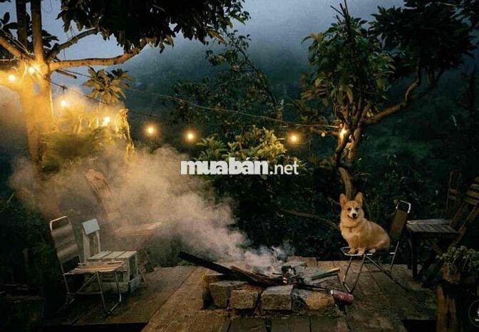 1080m2 750Triệu Đất Vườn View Sân Mây Cần Bán Gấp Tặng Luôn Vườn Hồng