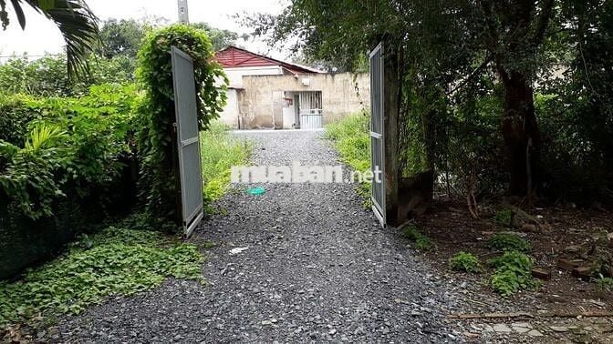 Bán 2.154m2 đất MT đường liên ấp 3-4 xã Phong Phú huyện Bình Chánh