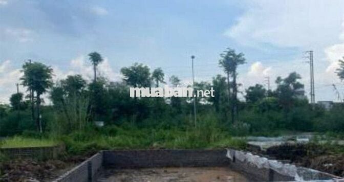 Bán đất phân lô khu 25.2 ha vân canh hoài đức hn.dt 58,9m2 Bán đất phân lô khu 25.2 ha vân canh hoài đức hn.dt 58,9m2