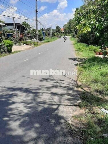 kẹt tiền bán gấp mảnh đất thổ cư- tặng cây