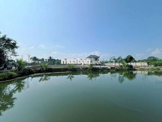 🚀 Ra mắt 58 lô đất nền F0 đẹp nhất ngay tại Khu CNC Hòa Lạc