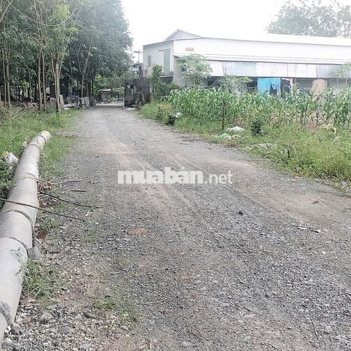 Đất xây trọ kế KCN Visip, diện tích 727m, thổ cư - giá 2.5 tỷ