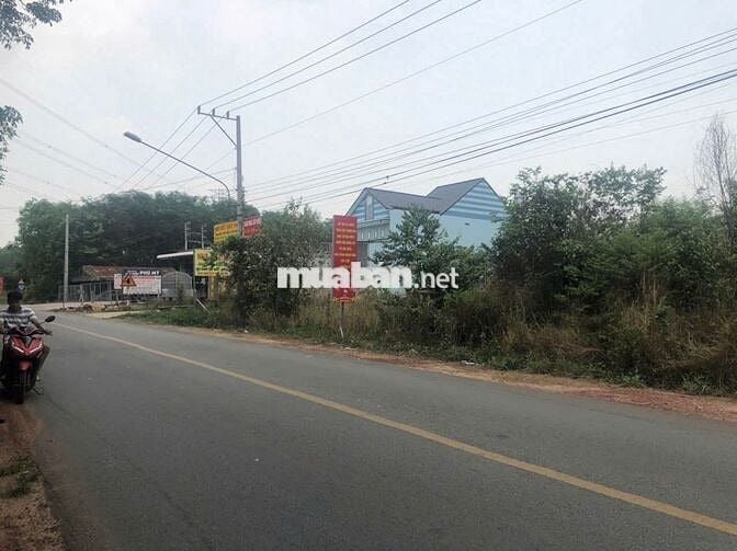 Đất sổ đỏ 585 m2 đường ĐT748, xã Phú An, TP Bến Cát, Bình Dương (cũ)