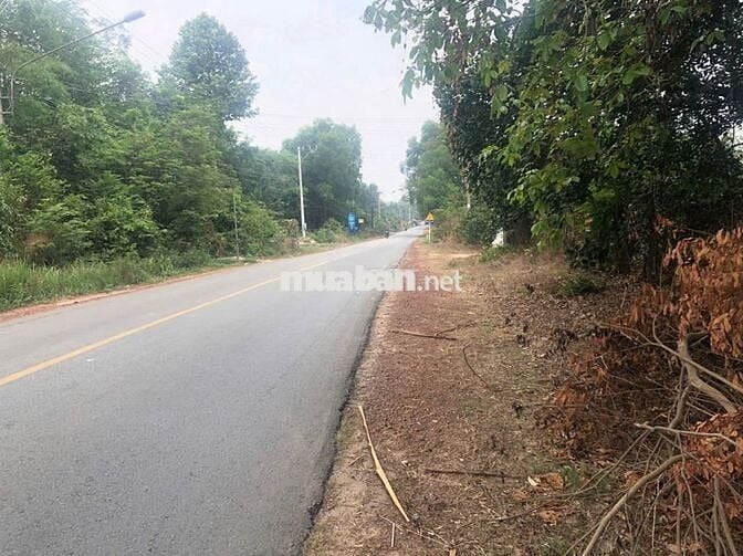 Đất sổ đỏ 585 m2 đường ĐT748, xã Phú An, TP Bến Cát, Bình Dương (cũ)