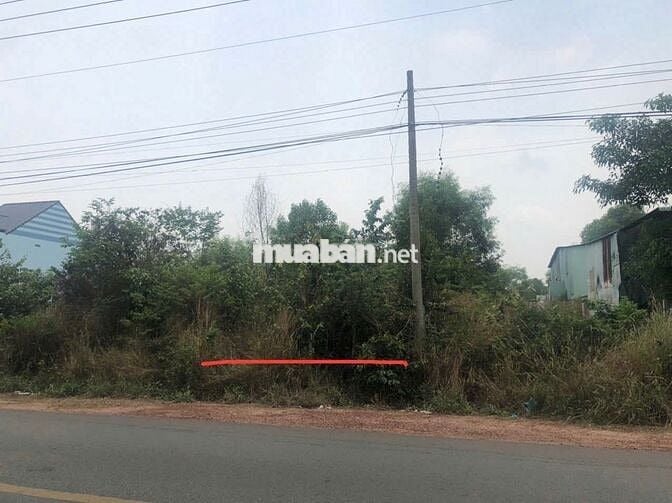 Đất sổ đỏ 585 m2 đường ĐT748, xã Phú An, TP Bến Cát, Bình Dương (cũ)