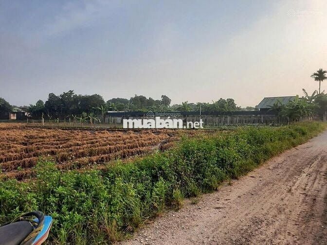 Đất đẹp giá rẻ mặt đường 6m, 508m² vuông vắn, gần khu Vin đầu tư