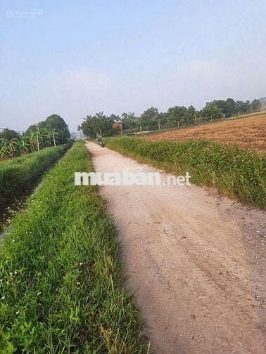 Đất đẹp giá rẻ mặt đường 6m, 508m² vuông vắn, gần khu Vin đầu tư