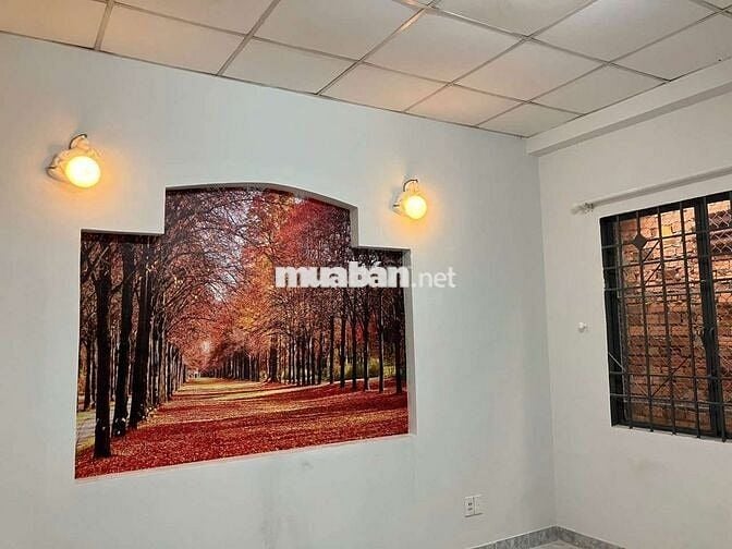 Cho thuê nguyên căn trệt lầu, hẻm xe hơi thông, Lê Văn Thọ p8 Gò vấp