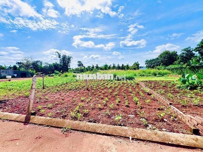 🔥F0 mới đét  👉 Cách DT 741 chi 3.5km đường to thông thoáng  📌 Diện tíc