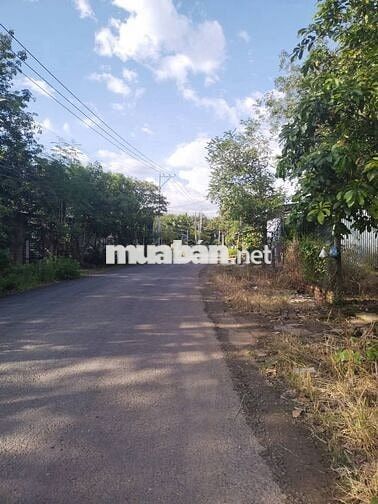 Cách Trường Cấp 3 Đồng Tiến đúng 300m. Hàng VIP để ở - kinh doanh