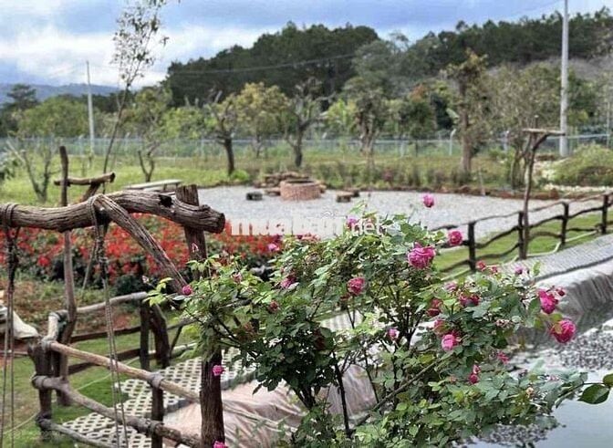 CHÍNH CHỦ CẮT LỖ 40% ĐẤT ĐÀ LẠT CÓ SẴN CĂN NHÀ GỖ VIEW RỪNG THÔNG