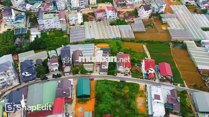 Đất Trung Tâm Đường Trần Khánh Dư Đà Lạt 110m2 3,6 Tỷ