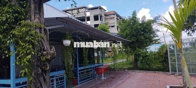 cho thuê lại mặt bằng cặp căn tin Cao đẳng  FPT giá sốc 💥💥