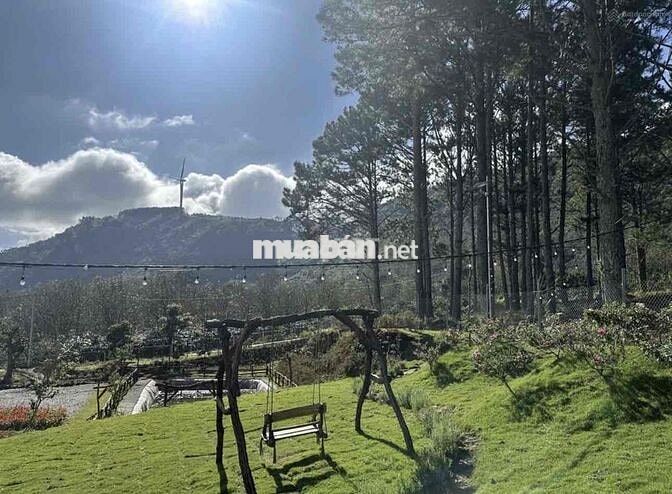 CHÍNH CHỦ CẮT LỖ 40% ĐẤT ĐÀ LẠT CÓ SẴN CĂN NHÀ GỖ VIEW RỪNG THÔNG