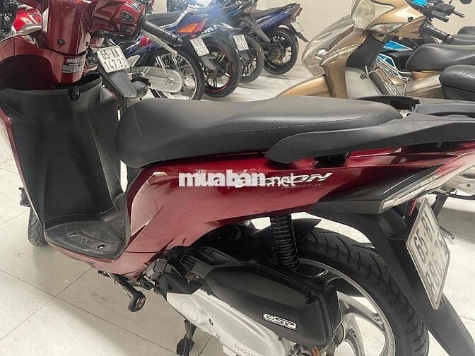 vison 2017 xe zin keng lướt bs 65