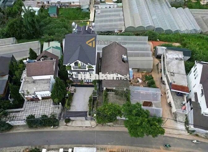 Đất Trung Tâm Đường Trần Khánh Dư Đà Lạt 110m2 3,6 Tỷ