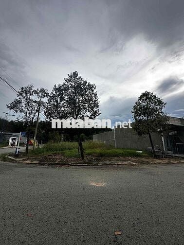 Chính chủ cần bán gấp lô góc 425m2 tại Mỹ Phước 1 giá đầu tư