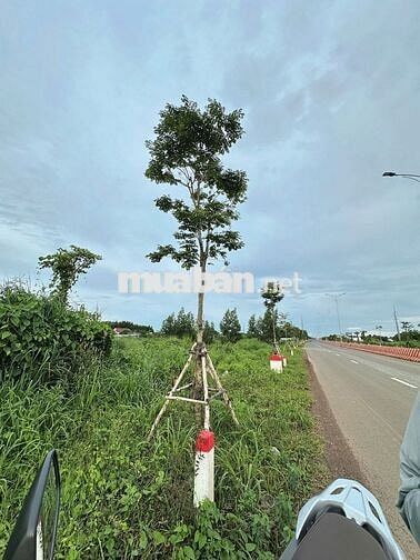 CHỦ GỬI BÁN LÔ ĐẤT MT TUYẾN TRÁNH QUỐC LỌ 55 DT LỚN 322M2/3TY6